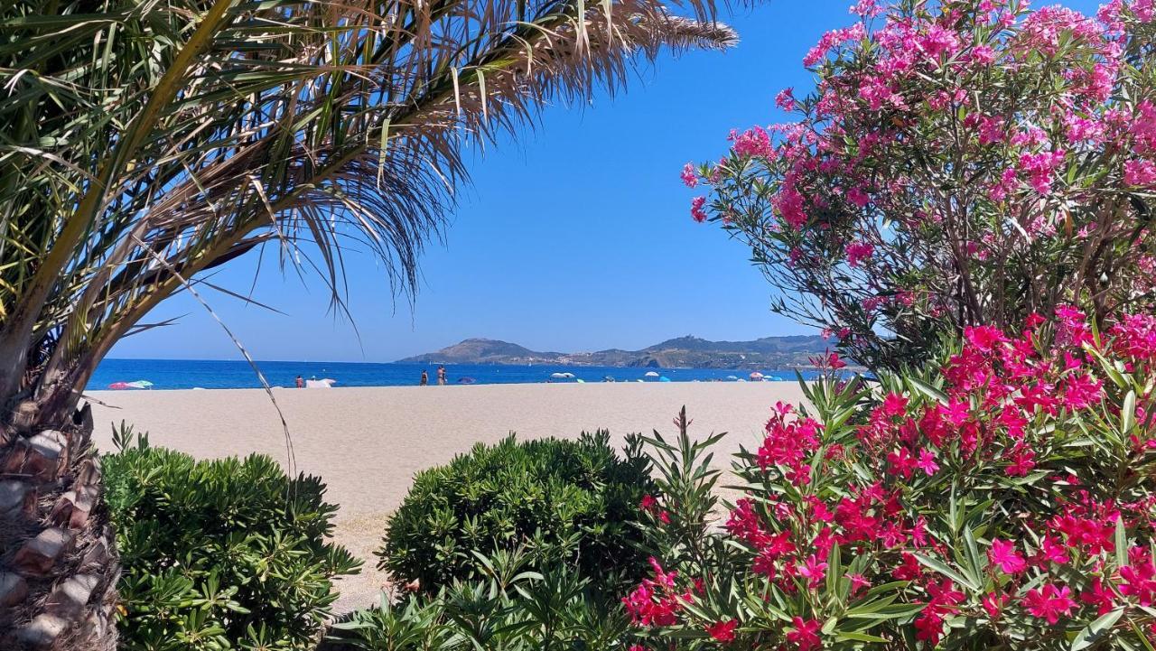 Sur La Plage, Super Studio Avec Vue Sur La Mer Plage d'Argeles Exterior foto