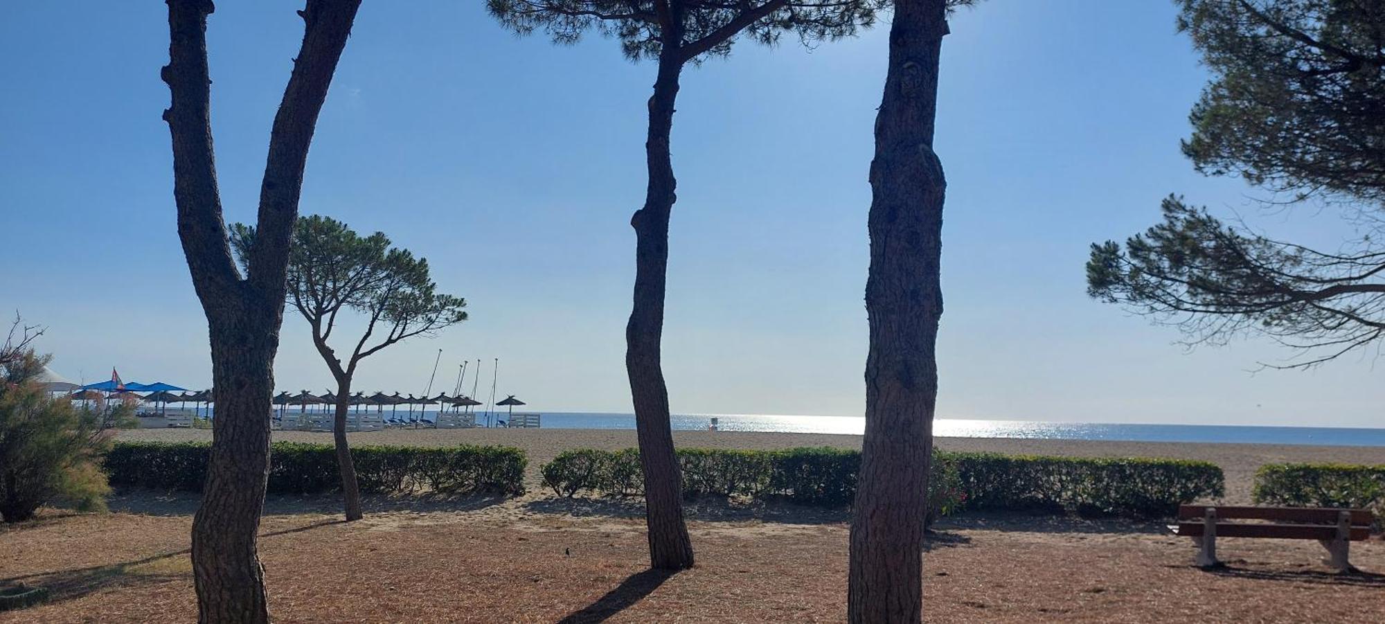 Sur La Plage, Super Studio Avec Vue Sur La Mer Plage d'Argeles Exterior foto